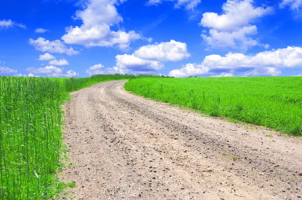 Зелене поле з дорогою і блакитним небом . — стокове фото