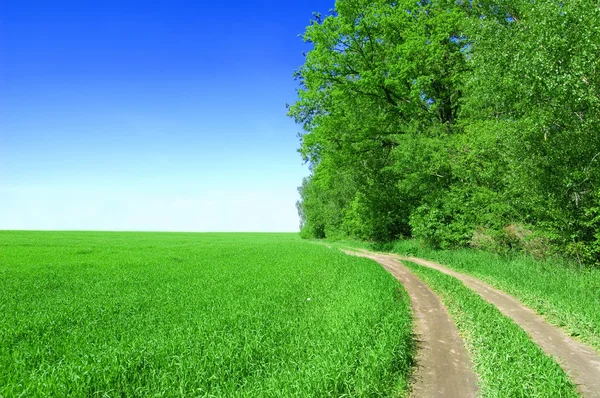 Πράσινο πεδίο και μπλε ουρανός. — Φωτογραφία Αρχείου