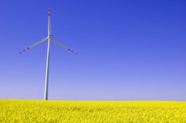 yel değirmeni kavramsal görüntü.