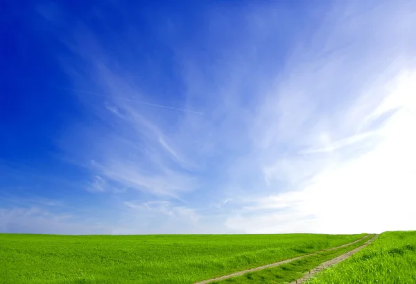 Зелене поле і блакитне небо . — стокове фото