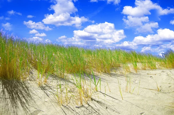 Conceptuele afbeelding van duinen. — Stockfoto