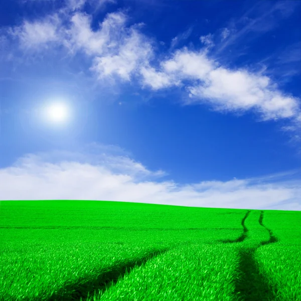Zielone pole i błękitne niebo obraz koncepcyjny. — Zdjęcie stockowe