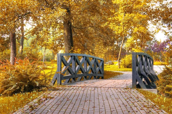 Herbstliche Szenerie. — Stockfoto