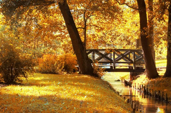Höstens landskap. Stockbild
