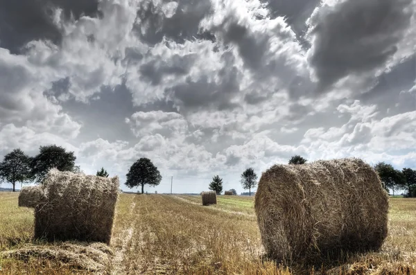 Fält och himmel. — Stockfoto