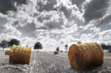 Field and sky. clipart