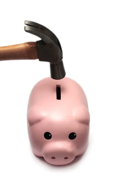 stock image Piggy Bank and Hammer