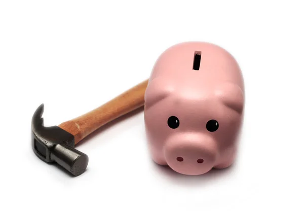 stock image Piggy Bank