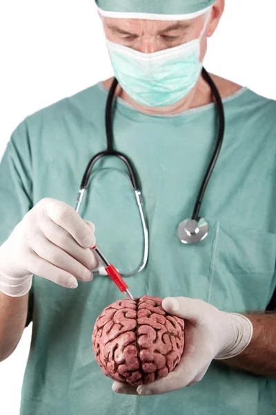 Cirujano masculino sosteniendo cerebro — Foto de Stock