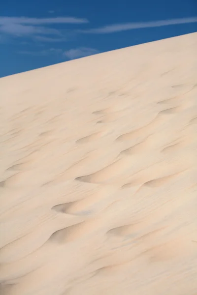 모래 언덕 (수직) — 스톡 사진