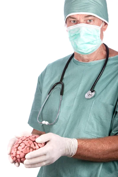 Erkek cerrah tutarak beyin — Stok fotoğraf