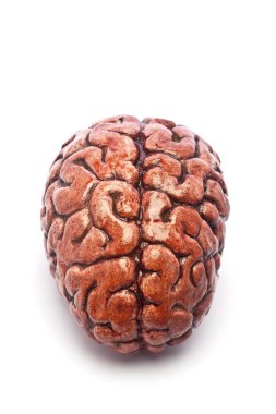 Bloody Brain on White clipart