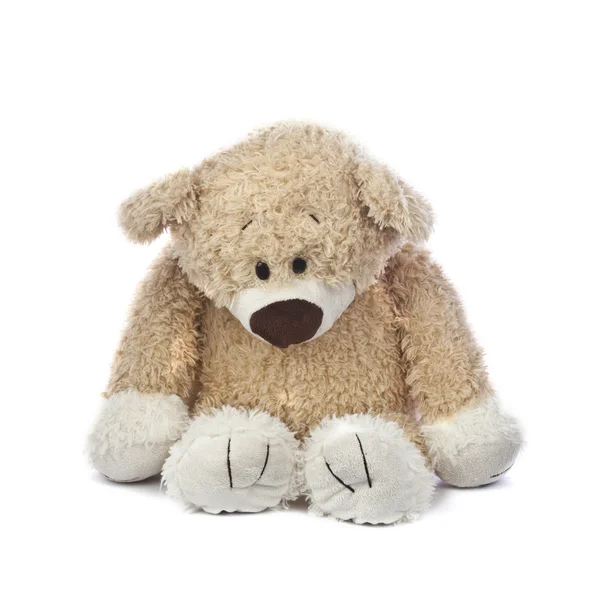 Treurig en eenzaam teddy bear — Stockfoto