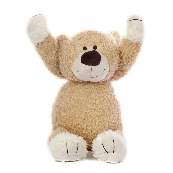 Urso de peluche feliz — Fotografia de Stock