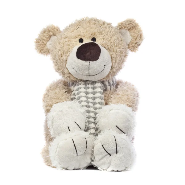 Счастливый медведь Тедди — стоковое фото