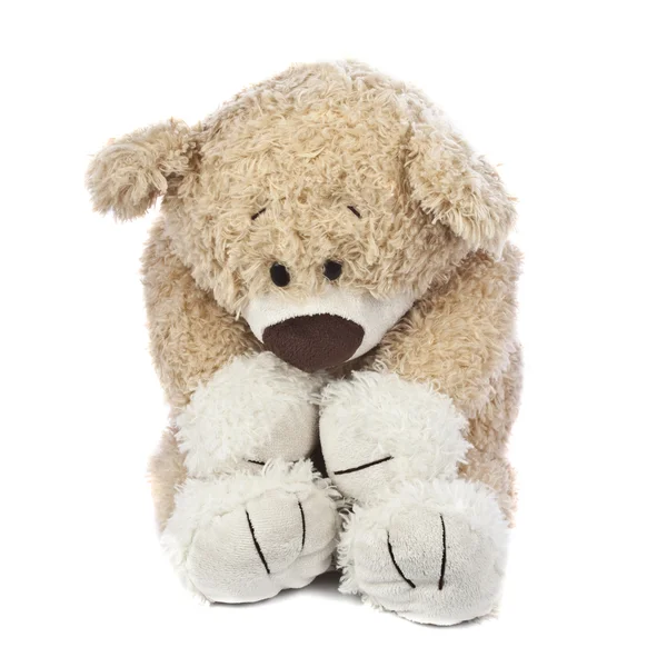 Urso de peluche triste e solitário — Fotografia de Stock