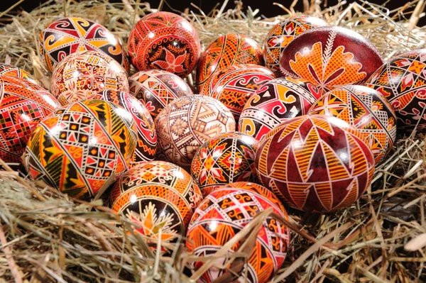 stock image Easter eggs on the hay