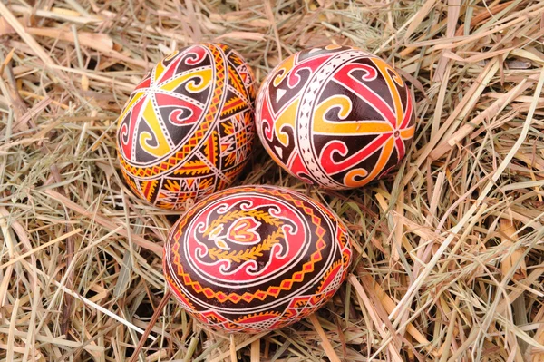 Stock image Easter eggs on the hay