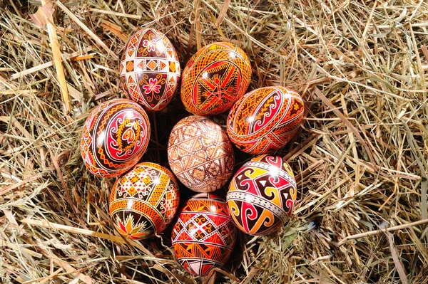 stock image Easter eggs on the hay