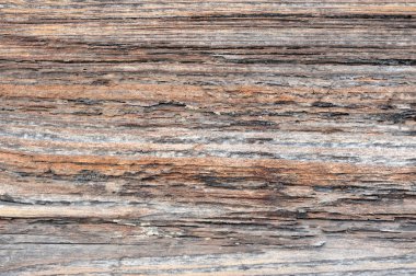 Ancient wood boards texture clipart