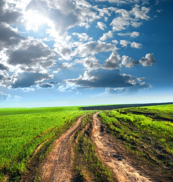 Gröna fält och vacker blå himmel — Stockfoto