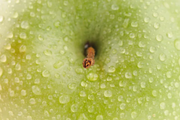 stock image Apple