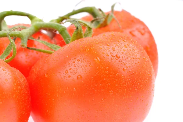 Belles tomates isolées brillantes sur le blanc — Photo