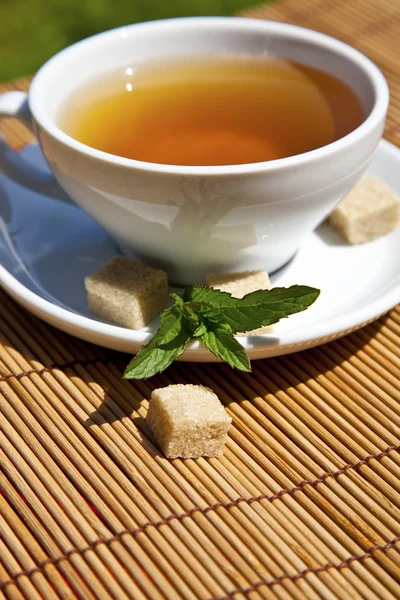 Witte thee beker verlicht door mooie daglicht — Stockfoto