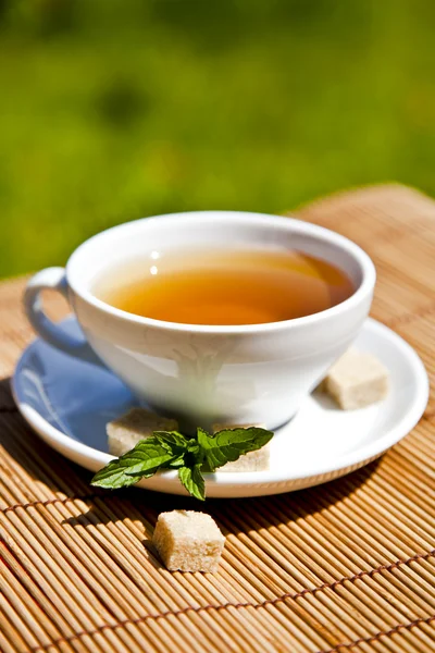 Weiße Teetasse beleuchtet von schönem Tageslicht — Stockfoto