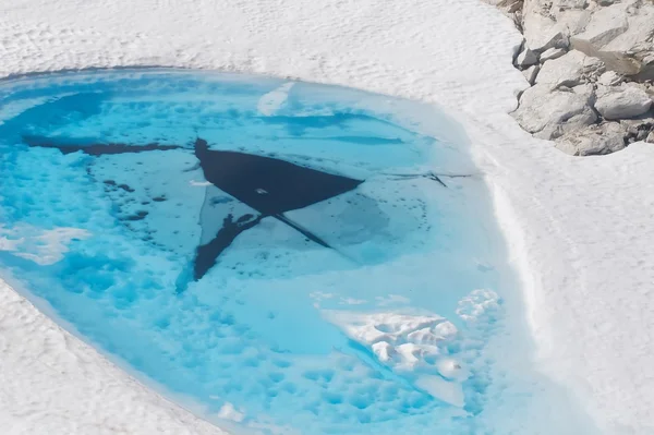 Ледниковое озеро — стоковое фото