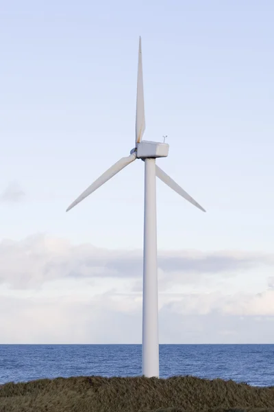 Харборская ветряная турбина — стоковое фото