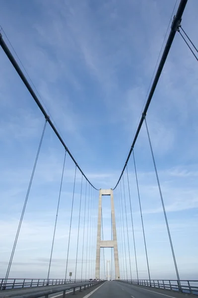 Pylon bridge — Stock Photo, Image