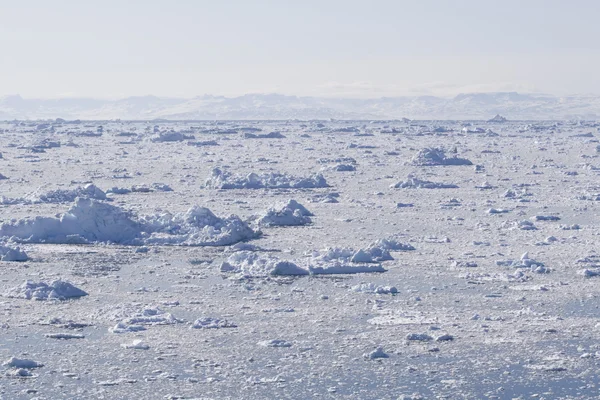 Ledové fjord — Stock fotografie
