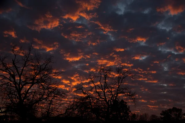 portland Oregon 5 gün batımı