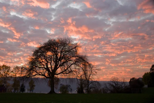 portland Oregon 4 gün batımı