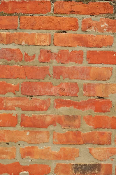 stock image Brick wall