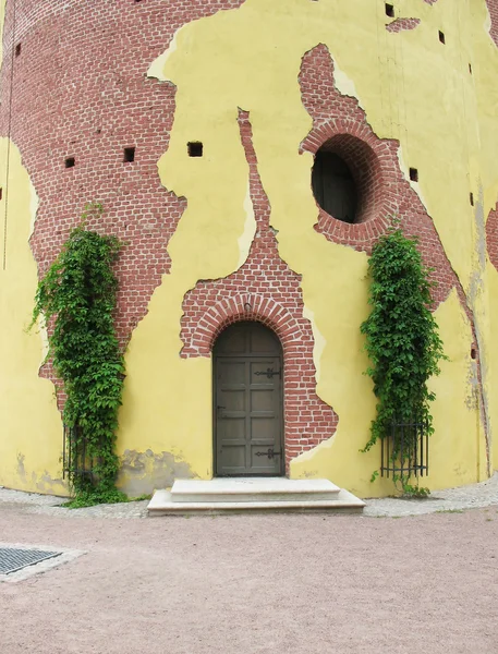 Виноград на стене разрушенной башни . — стоковое фото
