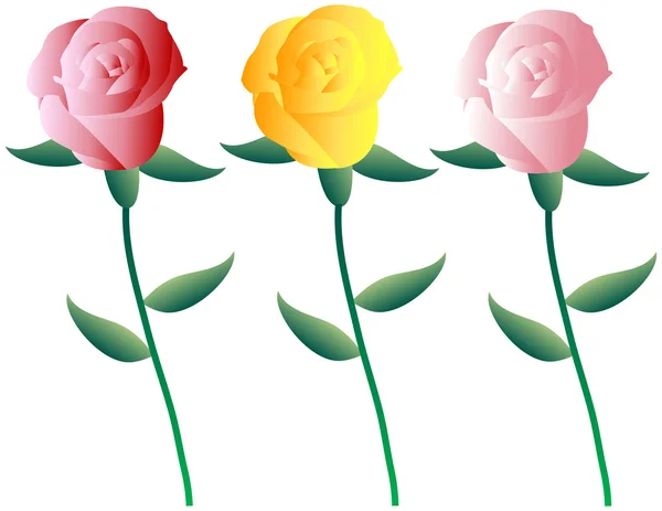 Conjunto de rosas coloridas —  Vetores de Stock