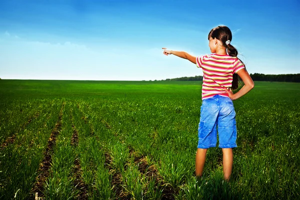 Klein meisje in veld — Stockfoto