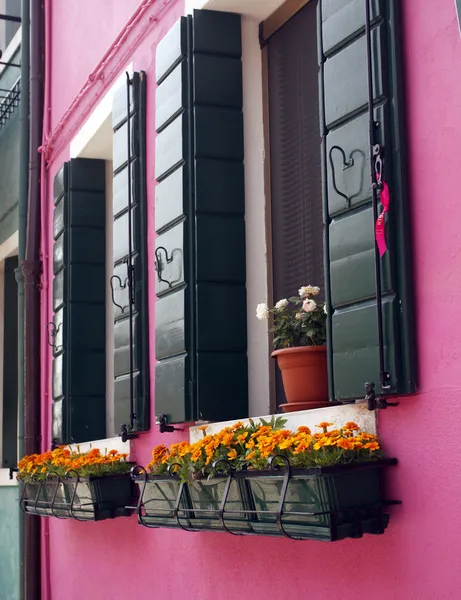 Flores em janelas de casa rosa — Fotografia de Stock