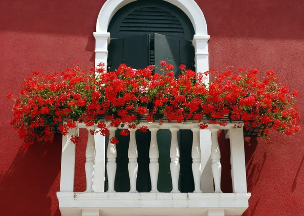 Flowers on a balcony — Stock Photo, Image