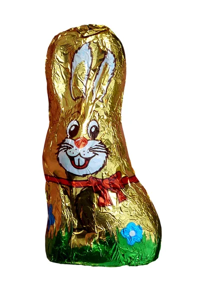 stock image Foiled bunny