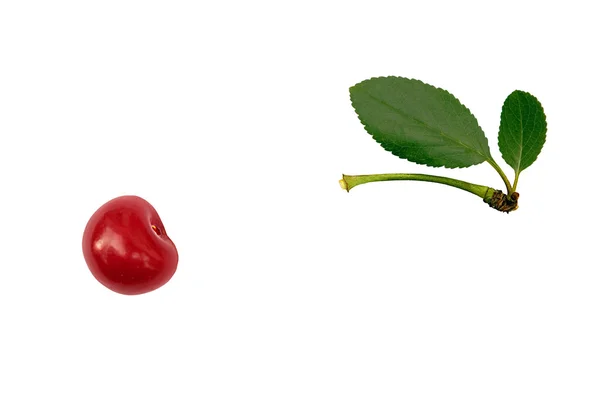 ¡Perdí mi cereza! Simbólico ! —  Fotos de Stock