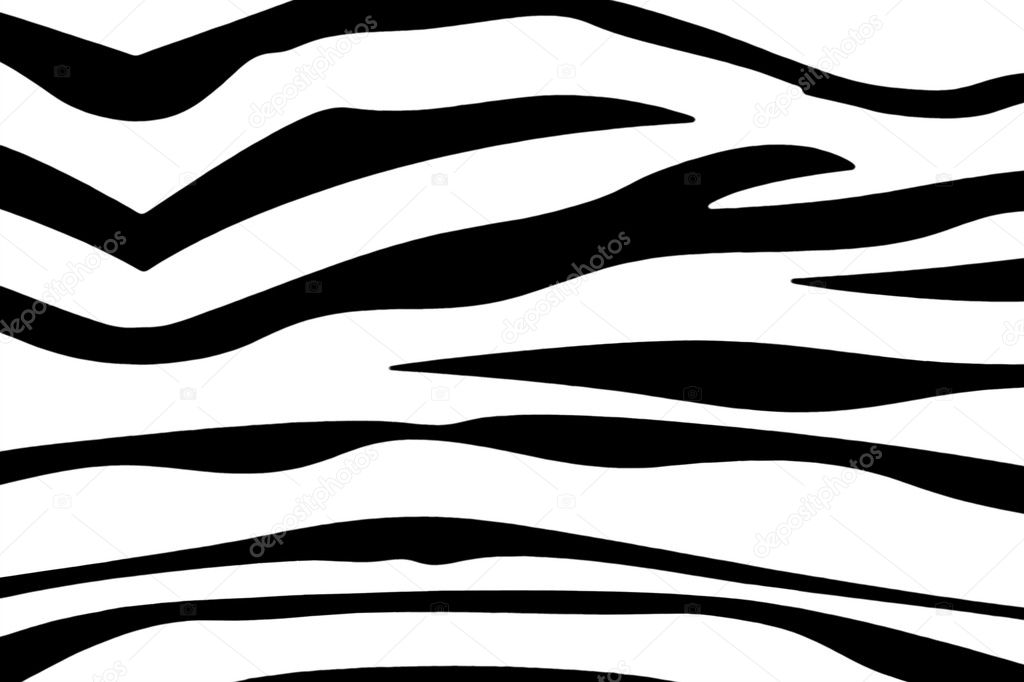 Zebra Stripes — Stock Photo © Goldfinch4ever 3751257