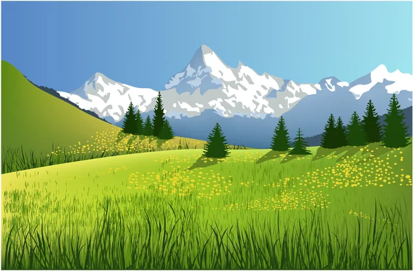 Mountain landscape with meadow — Stock Vector