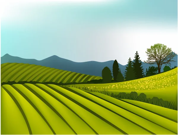Paysage rural — Image vectorielle