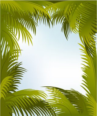 Palm frame clipart