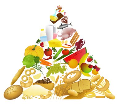 Food pyramid clipart