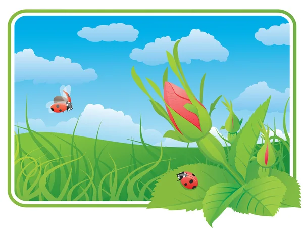 Two ladybugs on the wild rose — Stock Vector