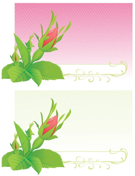 Вітальні листівки з дикою трояндою — стоковий вектор